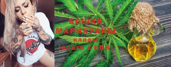 сатива Балахна