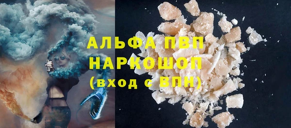 сатива Балахна