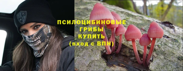 сатива Балахна