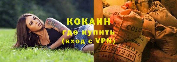 сатива Балахна